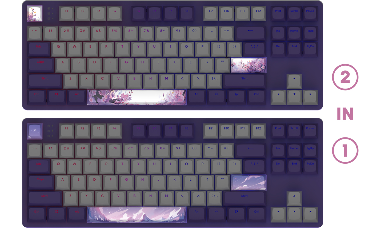 Dark Project DPO87 Violet Horizon Combo G3MS Sapphire Tastatur