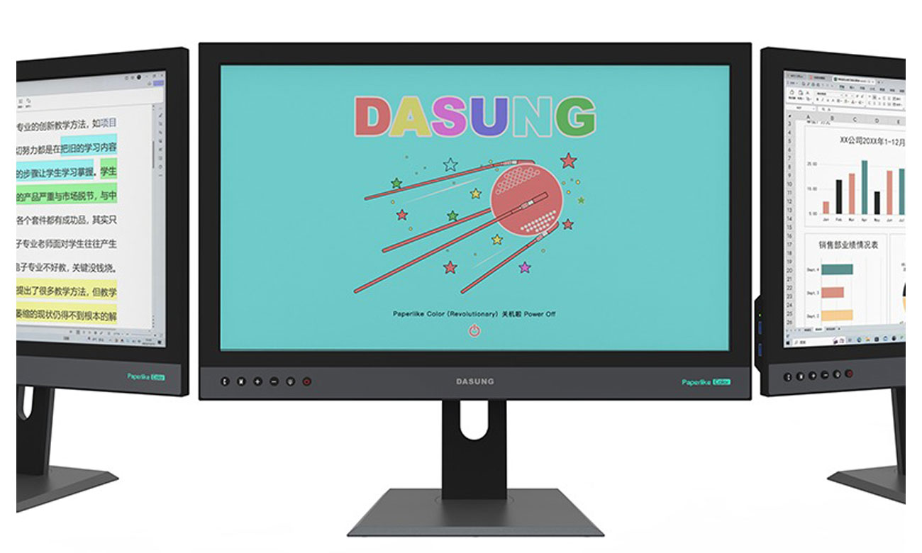 Dasung Paperlike Color