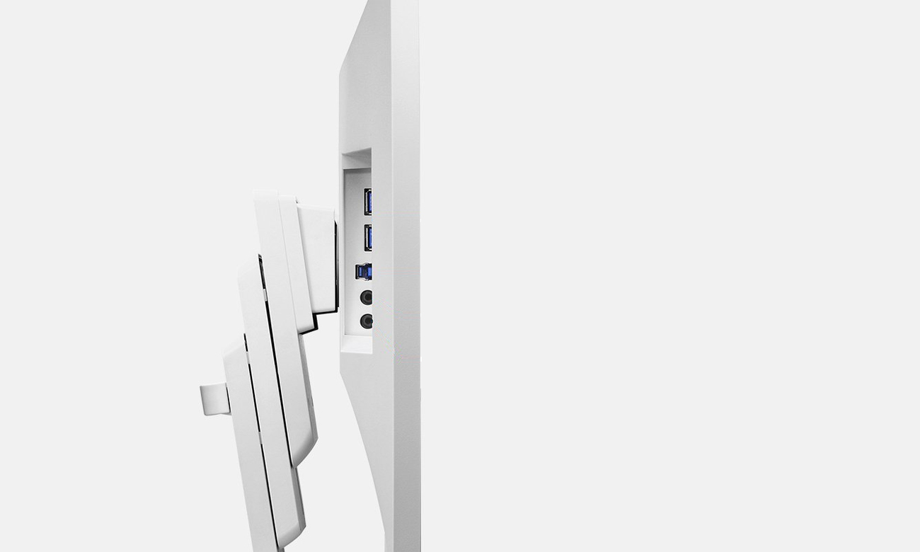 Monitor Eizo EV2456-WT Wejścia Sygnałowe