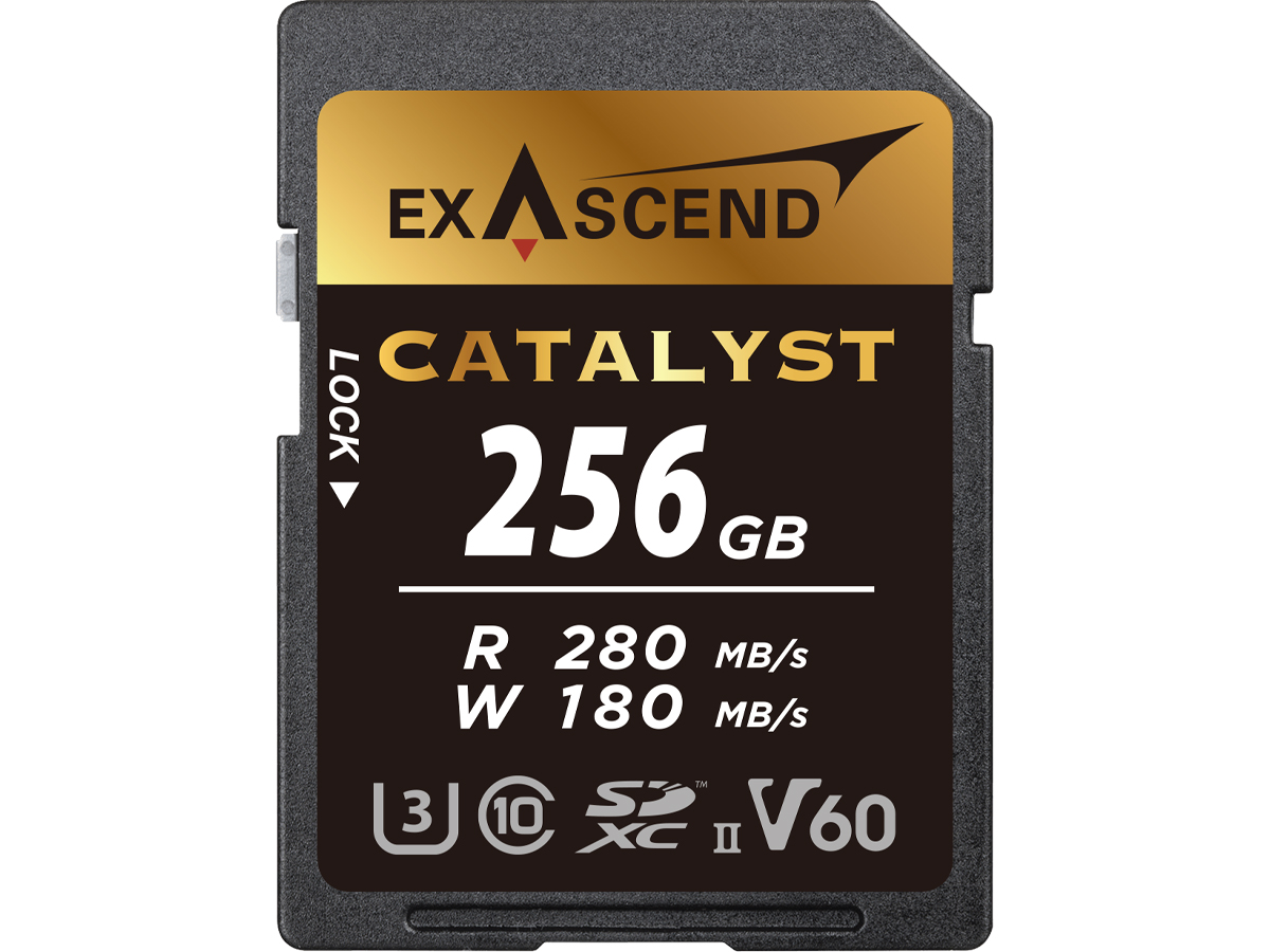 ExAscend 128GB SDXC Catalyst UHS-I V30