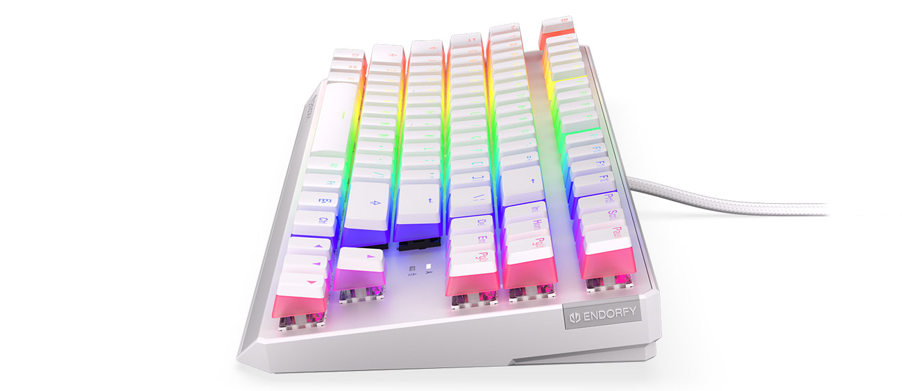 ENDORFY Thock TKL Pudding Kailh Blue RGB