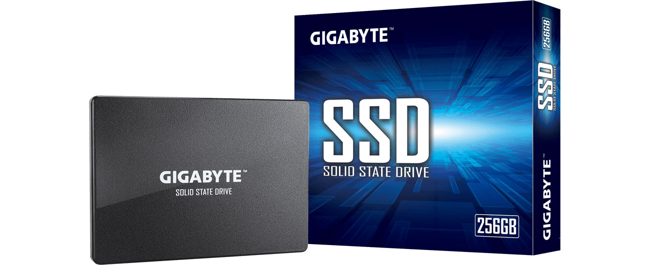  Gigabyte SSD 256GB