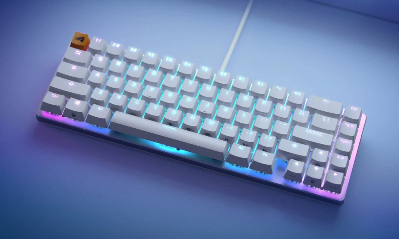 Glorious PC Gaming Race GMMK 2 Compact Fox Linear