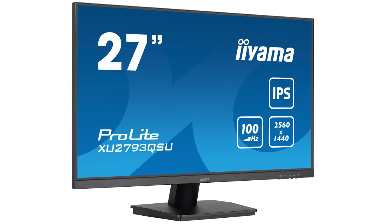 Monitor iiyama ProLite XU2491H-B1