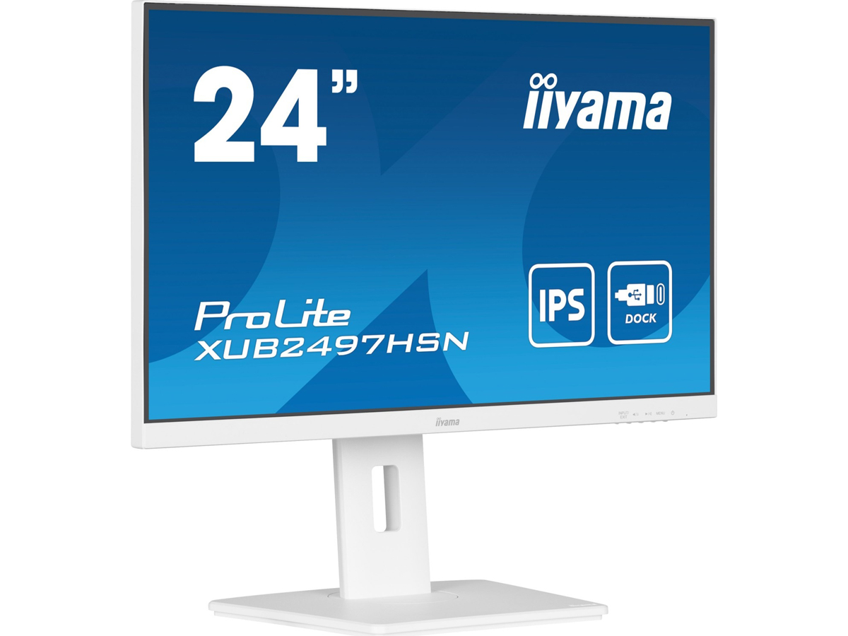 iiyama ProLite XUB2497HSN-B2