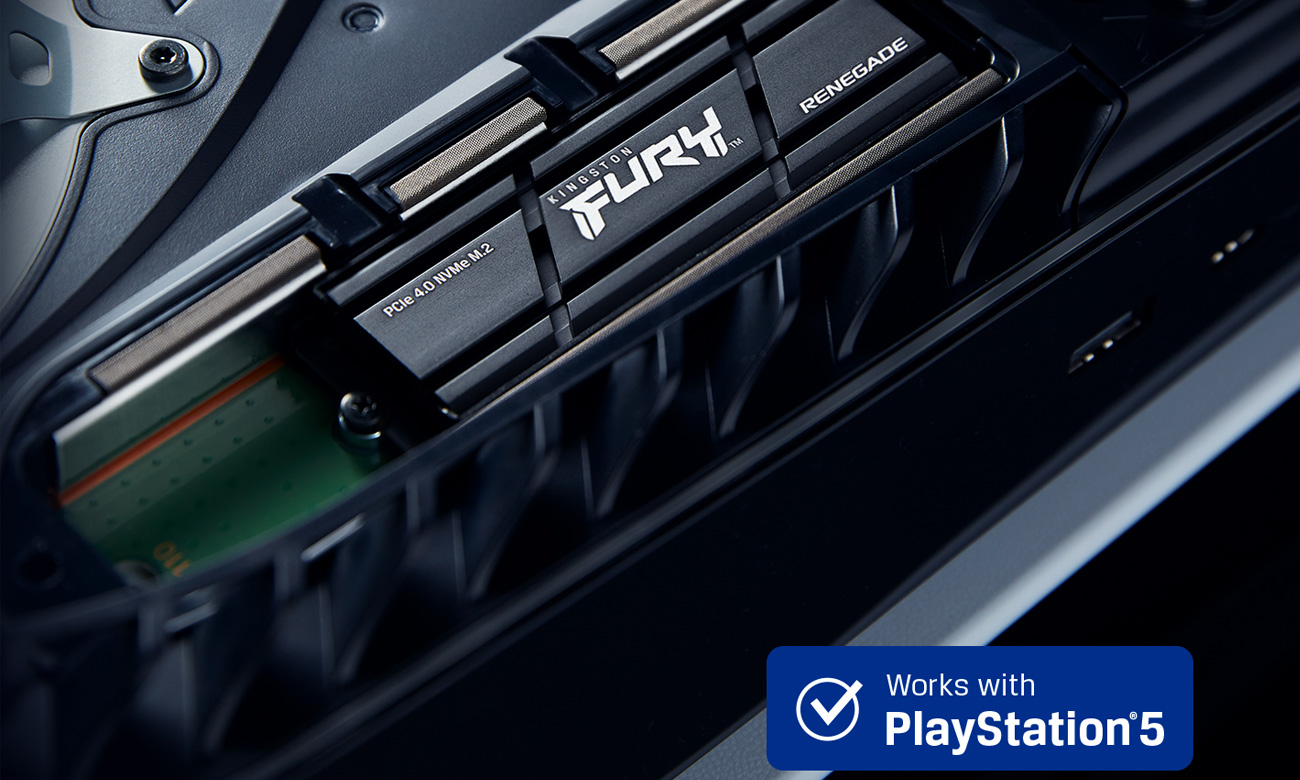 Kingston Fury Renegade Heatsink Interne