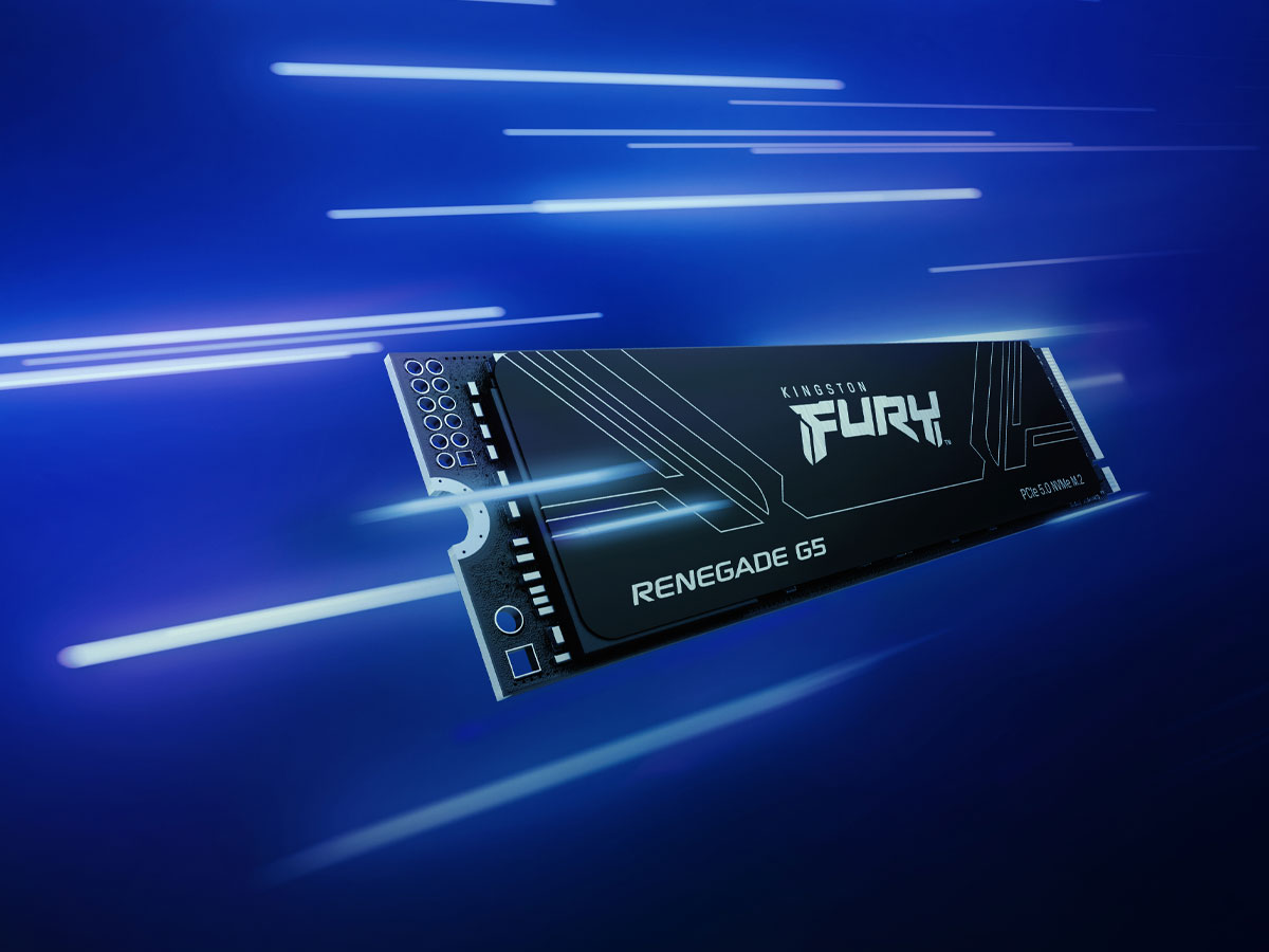 Kingston FURY Renegade G5 SSD-Festplatte – Leistung