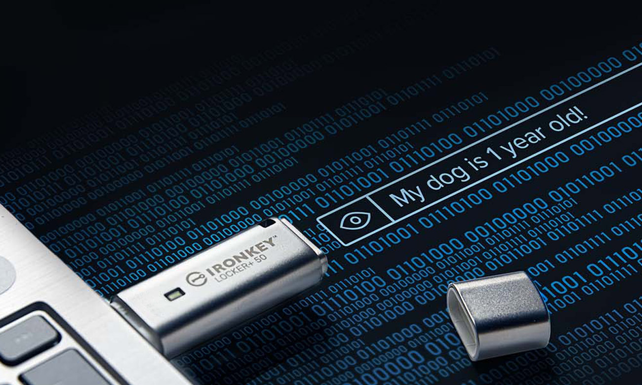 Pendrive Kingston IronKey Locker+ 50 AES USB w/256bit Encryption