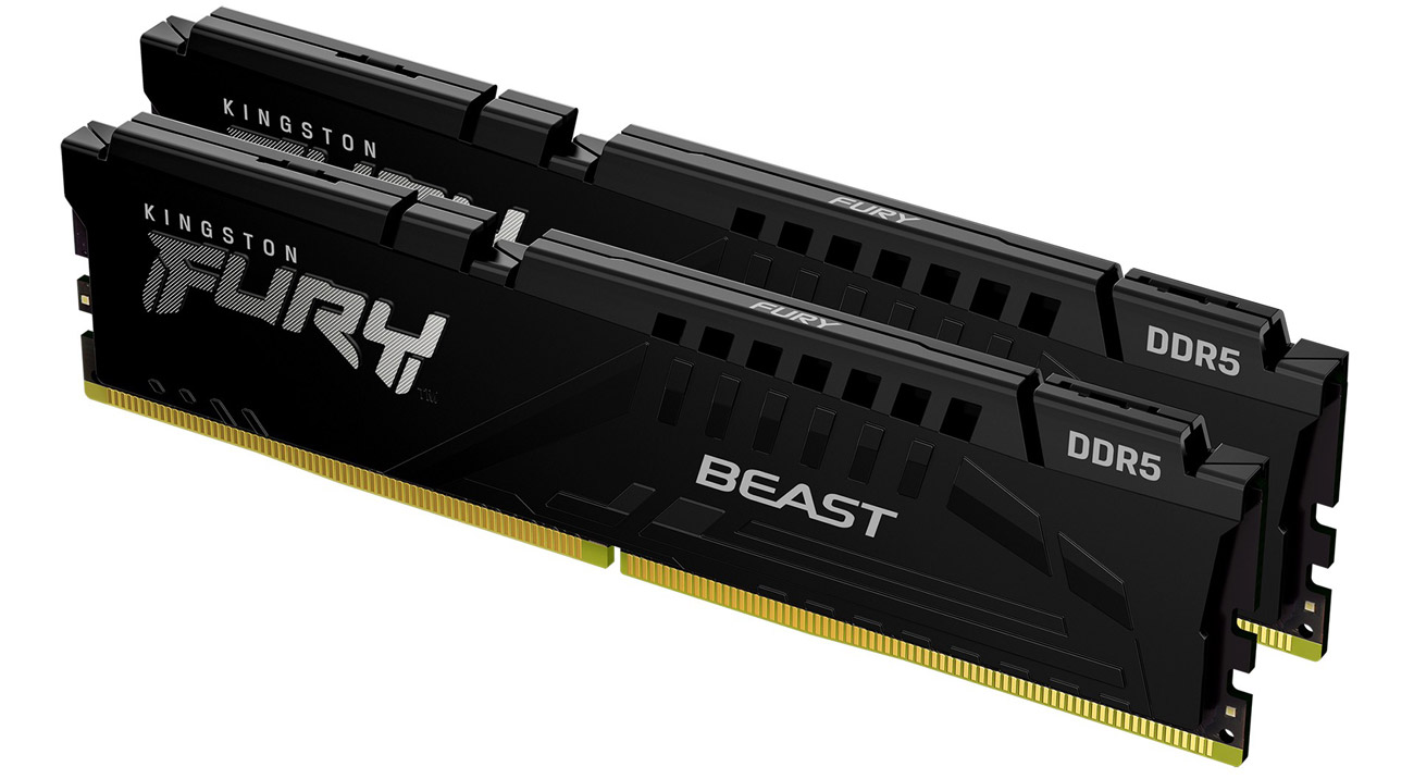 Kingston FURY 16GB 5600 MHz CL36 Beast Black EXPO RAM-Speicher