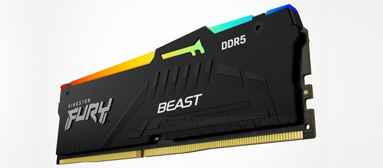 Kingston FURY Beast RGB EXPO look