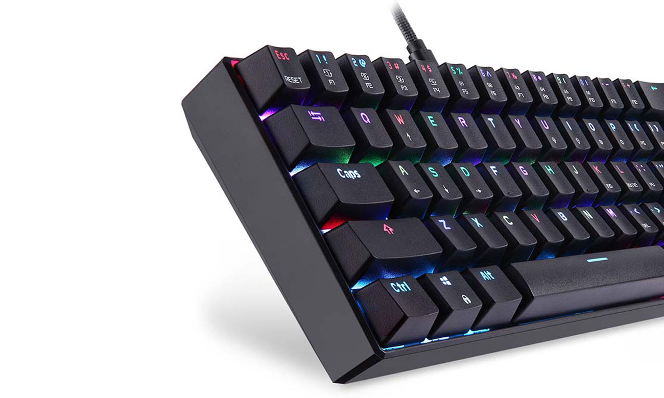 Robuste, Gaming-Konstruktion