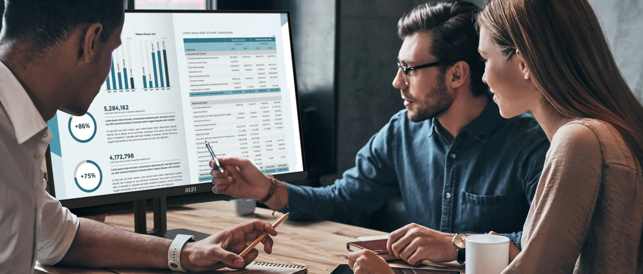 MSI PRO MP251P Monitorbildschirm