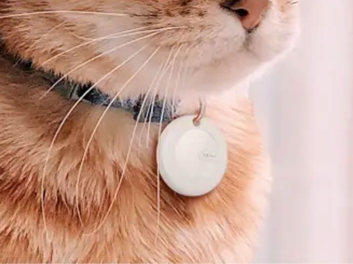 Lokalizator MiLi MiTag an einem Katzenhalsband