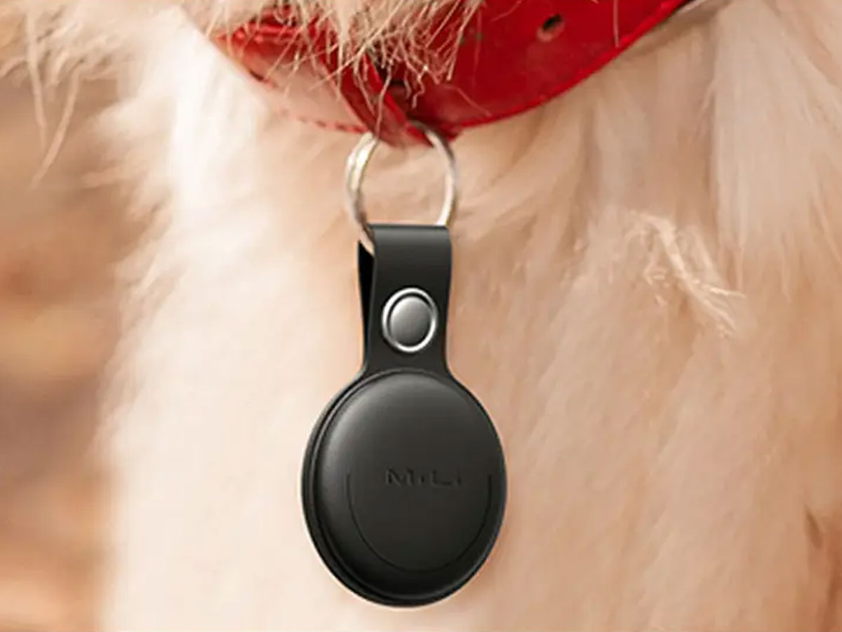 Lokalizator MiLi MiTag an einem Hundehalsband