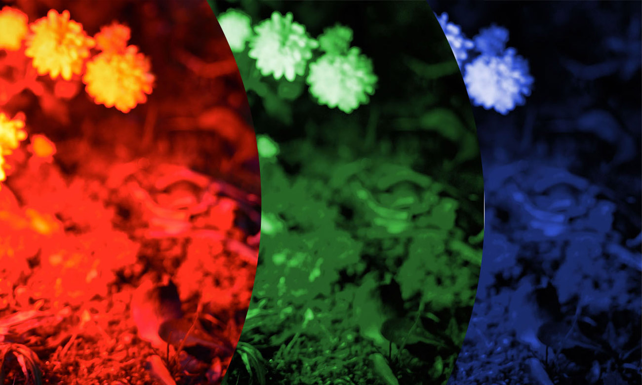 Wyjątkowe możliwości