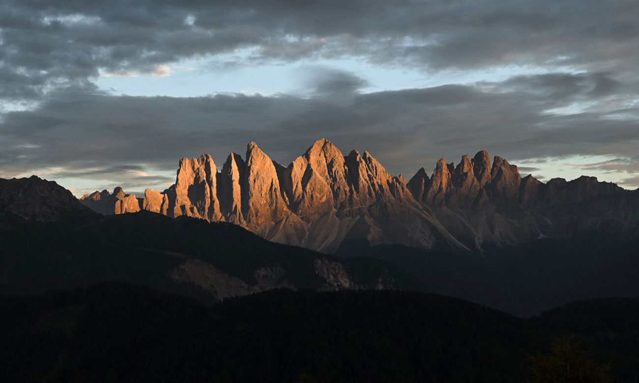 Professionelle Videos mit der Nikon Z 50