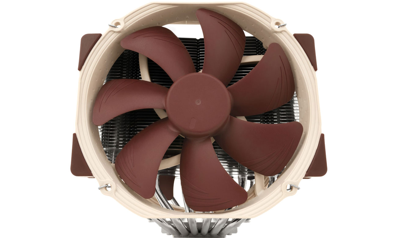 Noctua