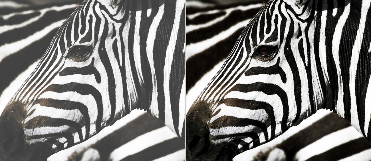 Hervorragender Kontrast und kräftiger Klang