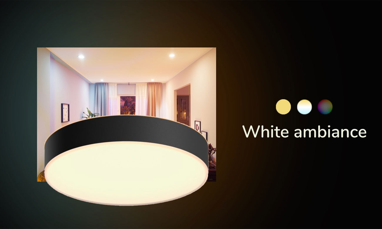Philips Hue White Ambiance Enrave Medium Schwarze Deckenleuchte