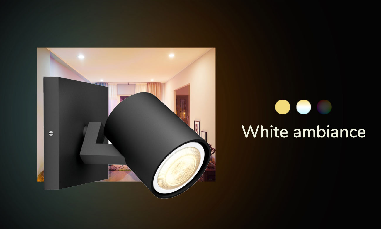 Einzelne Spotbeleuchtung Philips Hue Runner Schwarz