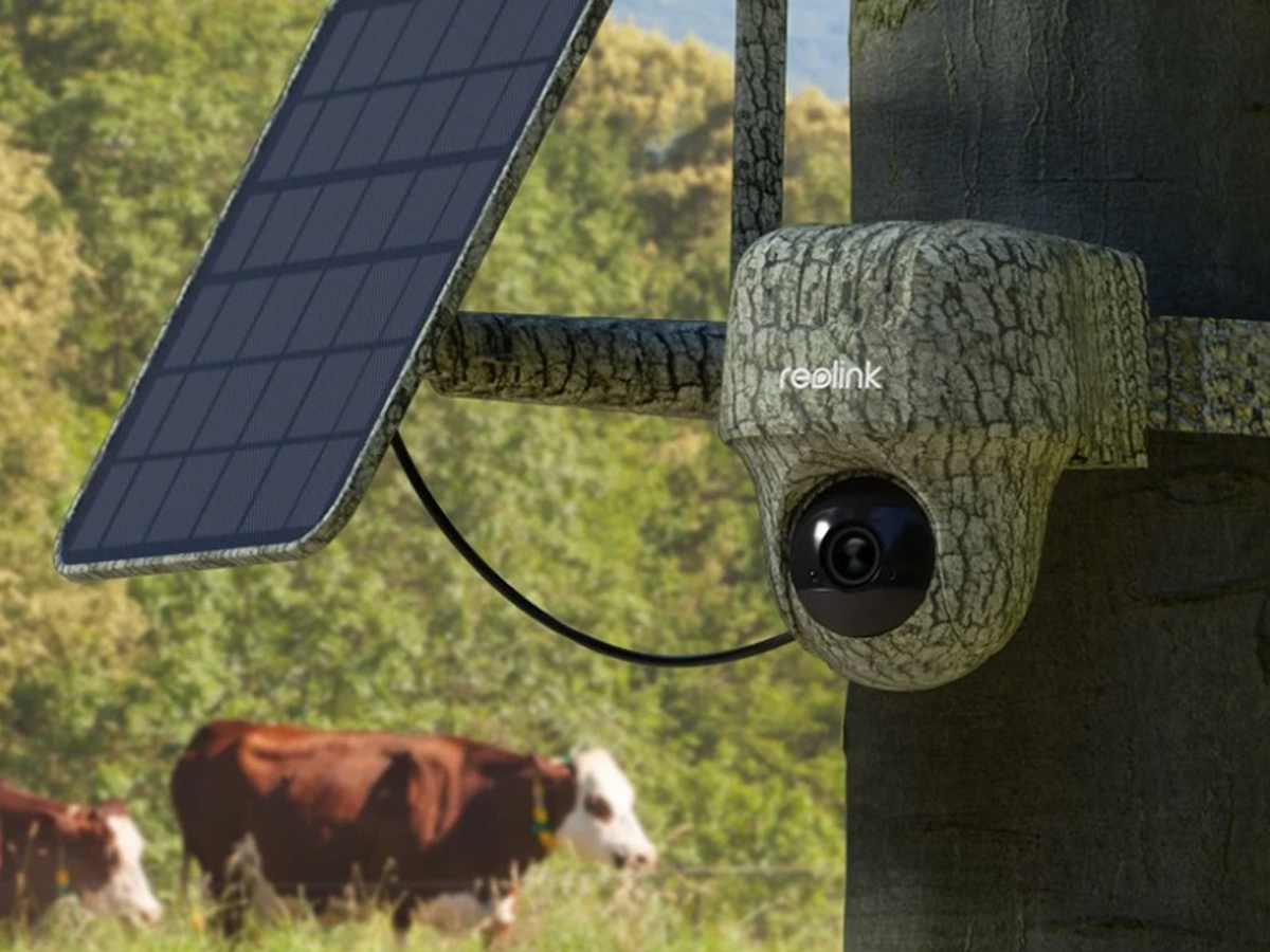 Intelligente drehbare Außenkamera Reolink 4G G450 + Panel - Lifestyle-Grafik