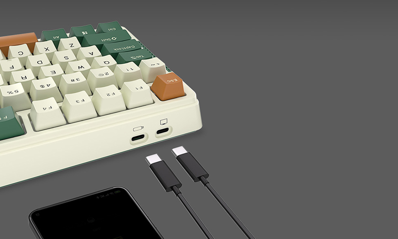 Royal Kludge RKH81 RGB zwei USB-C-Anschlüsse