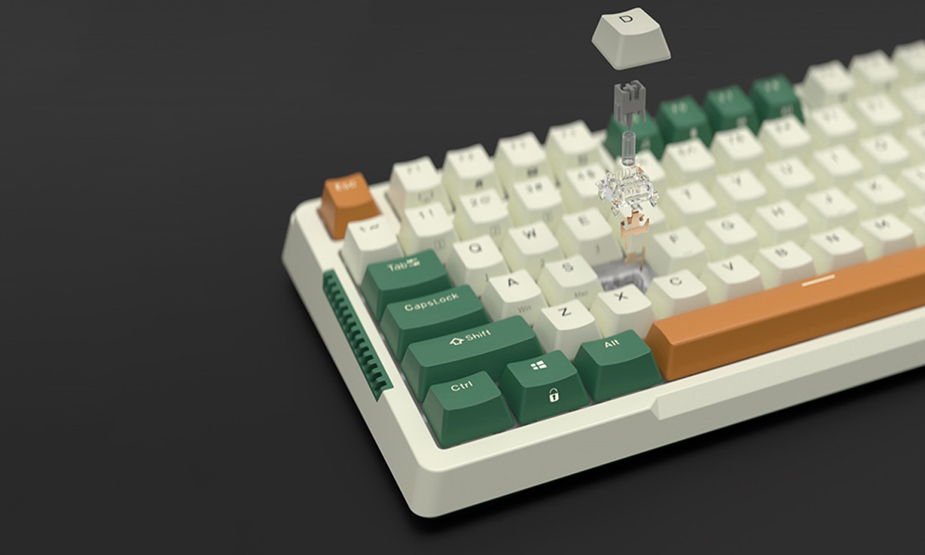 Royal Kludge RKH81 RGB Schalter