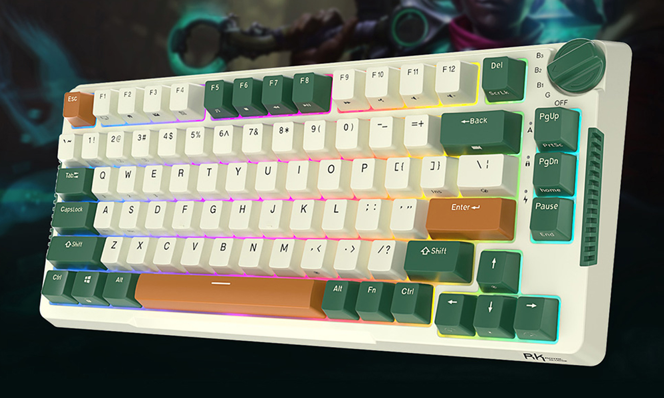 Royal Kludge RKH81 RGB Aussehen