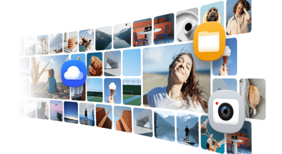 Apps zeigen, dass auf dem Gerät verschiedene Arten von Inhalten gespeichert werden können.
