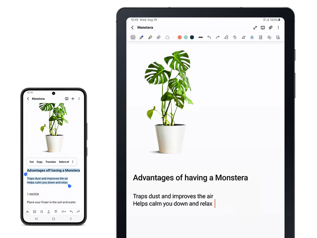 Samsung Galaxy S6 Lite (2024) Verbindung mit Galaxy-Telefon