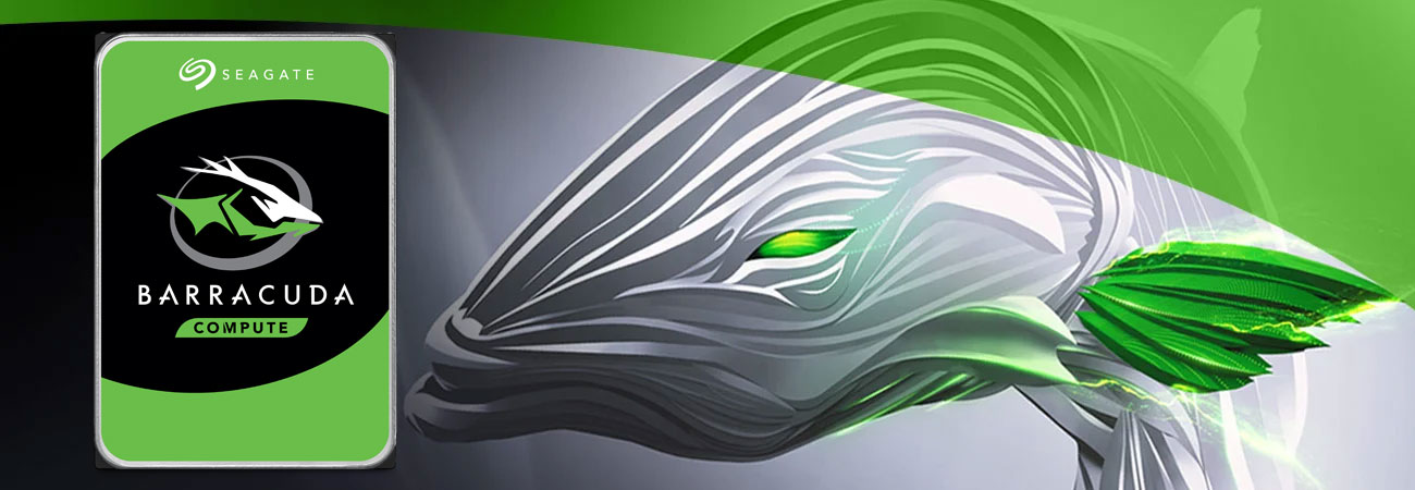 Seagate Barracuda 6TB