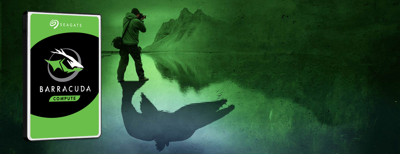 Seagate Barracuda 1TB