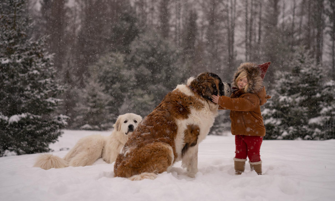 Fortschrittliche optische Konstruktion