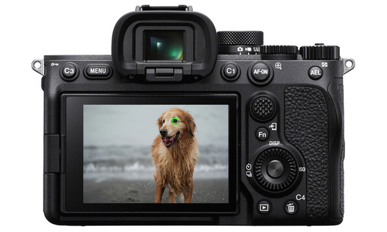 Zuverlässiger, sehr schneller Autofokus