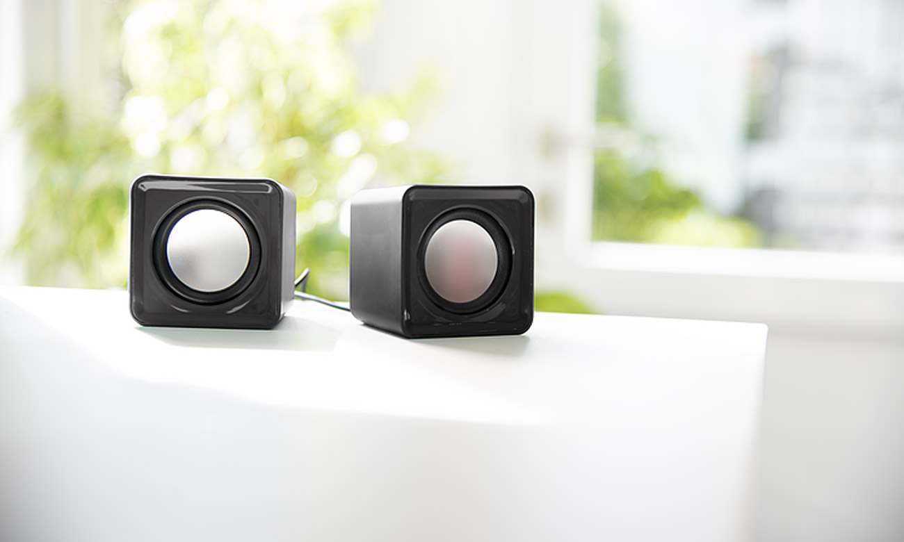 SpeedLink TWOXO Computerlautsprecher