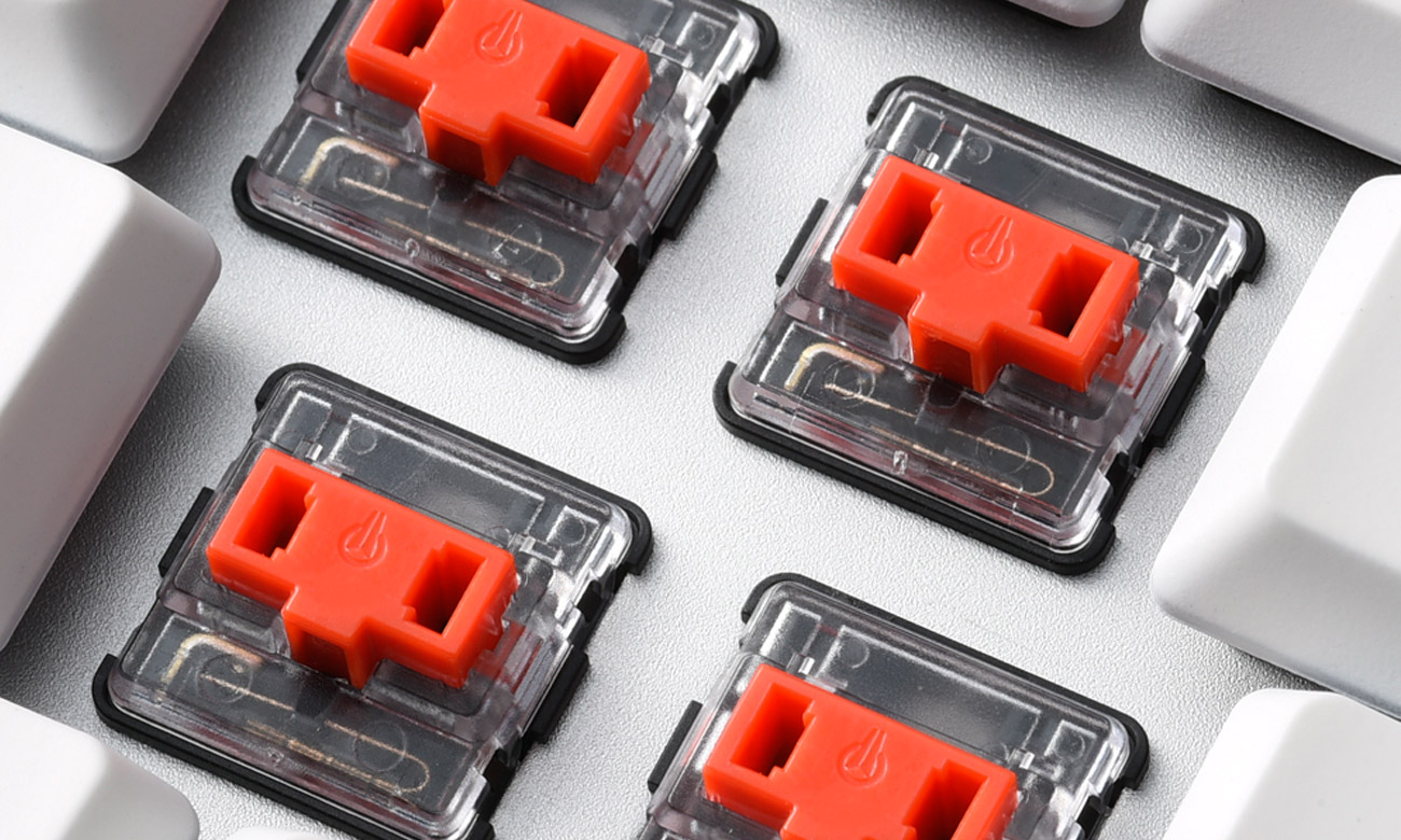 Mechanische Schalter Kailh Blue