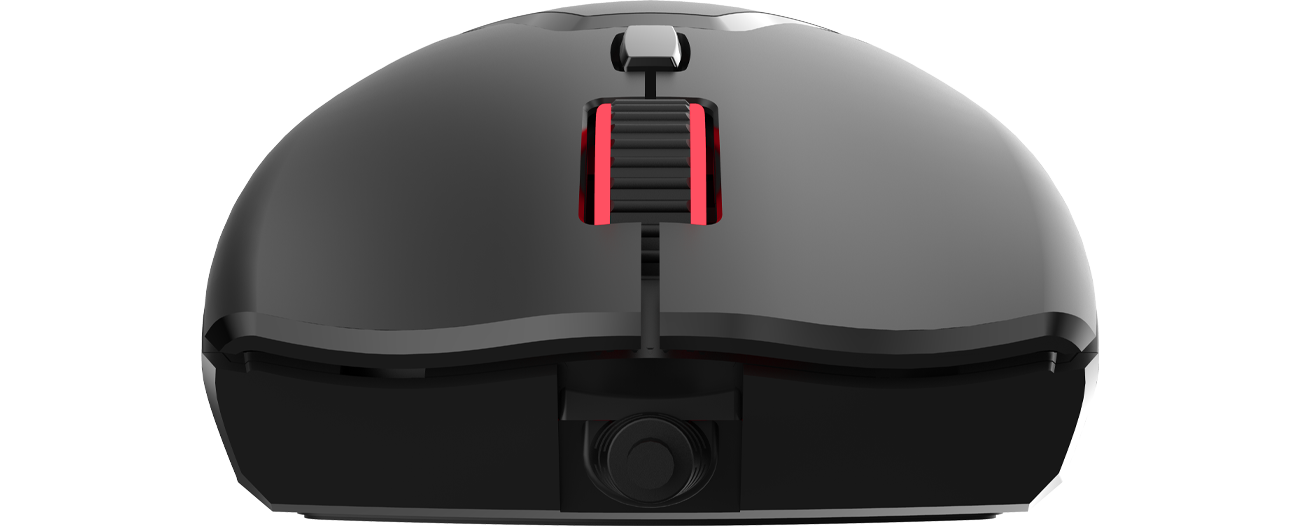 Silver Monkey X Gorilla