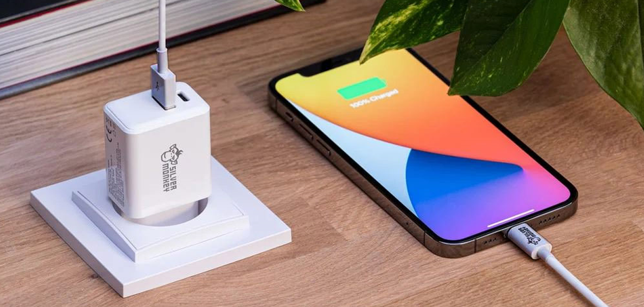 Silver Monkey X USB-A zu Lightning Kabel 0,5m