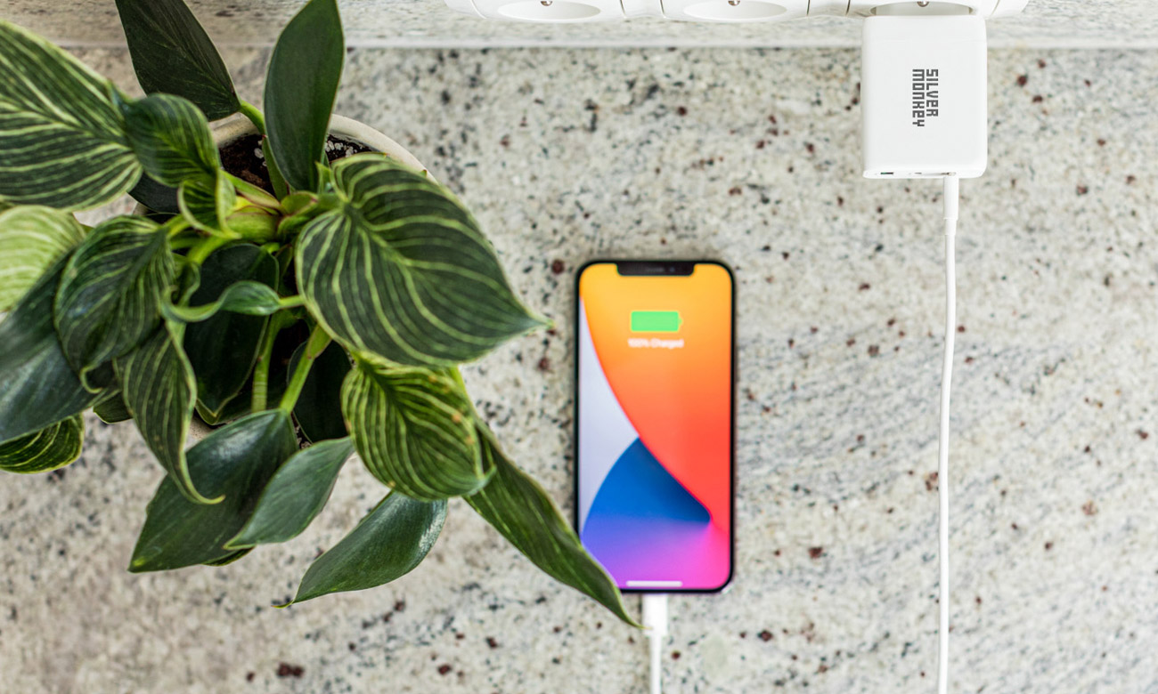 produkt Silver Monkey X