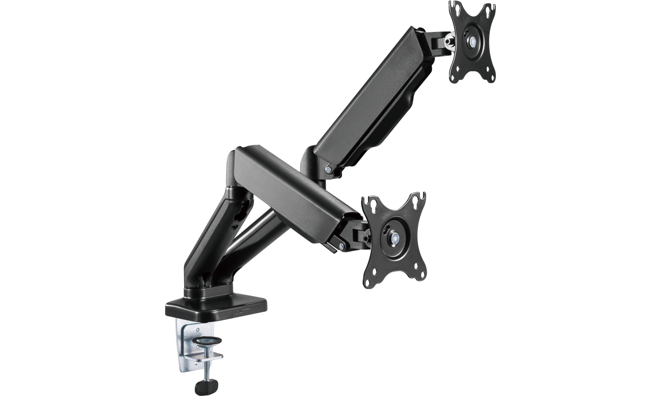 Silver Monkey Produkt