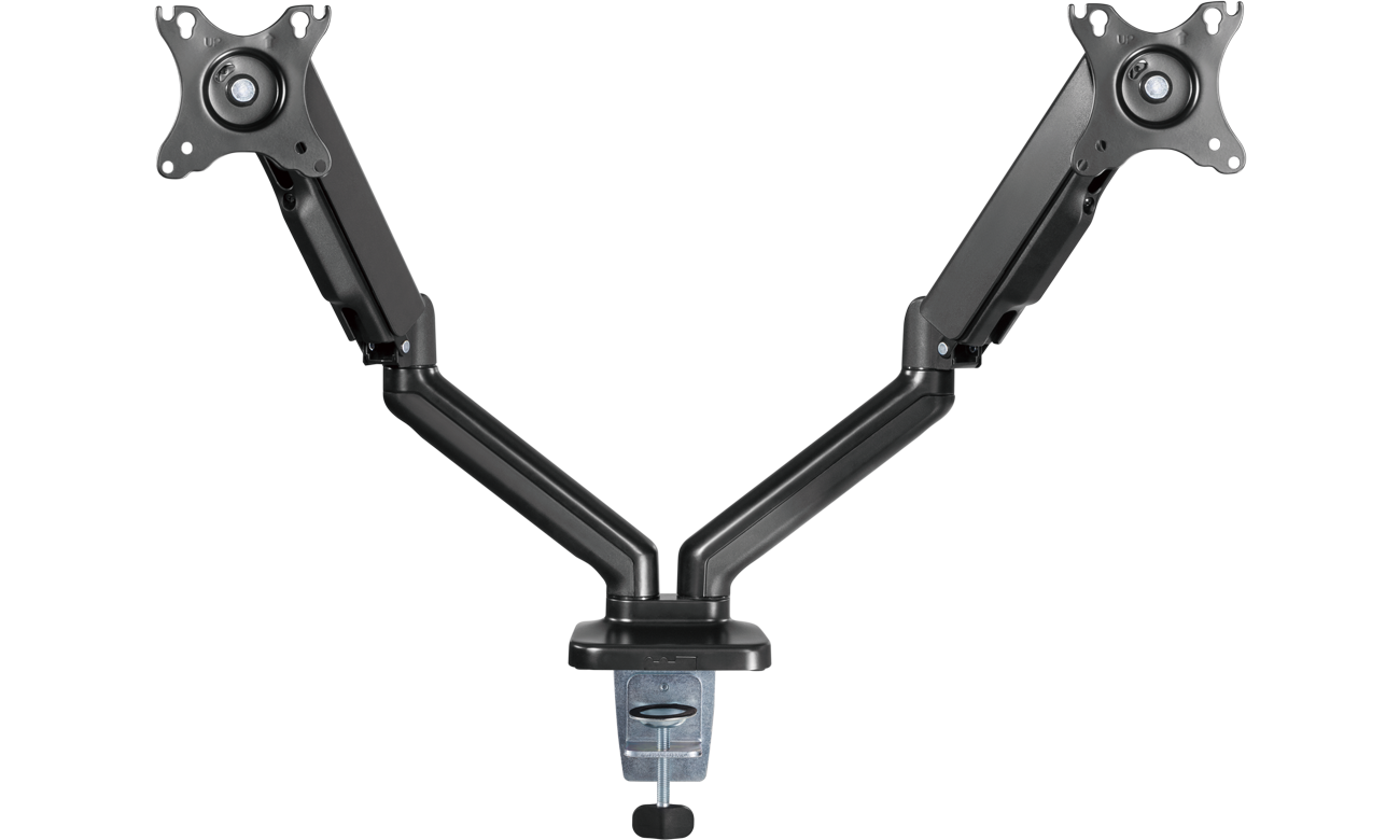 Silver Monkey Produkt