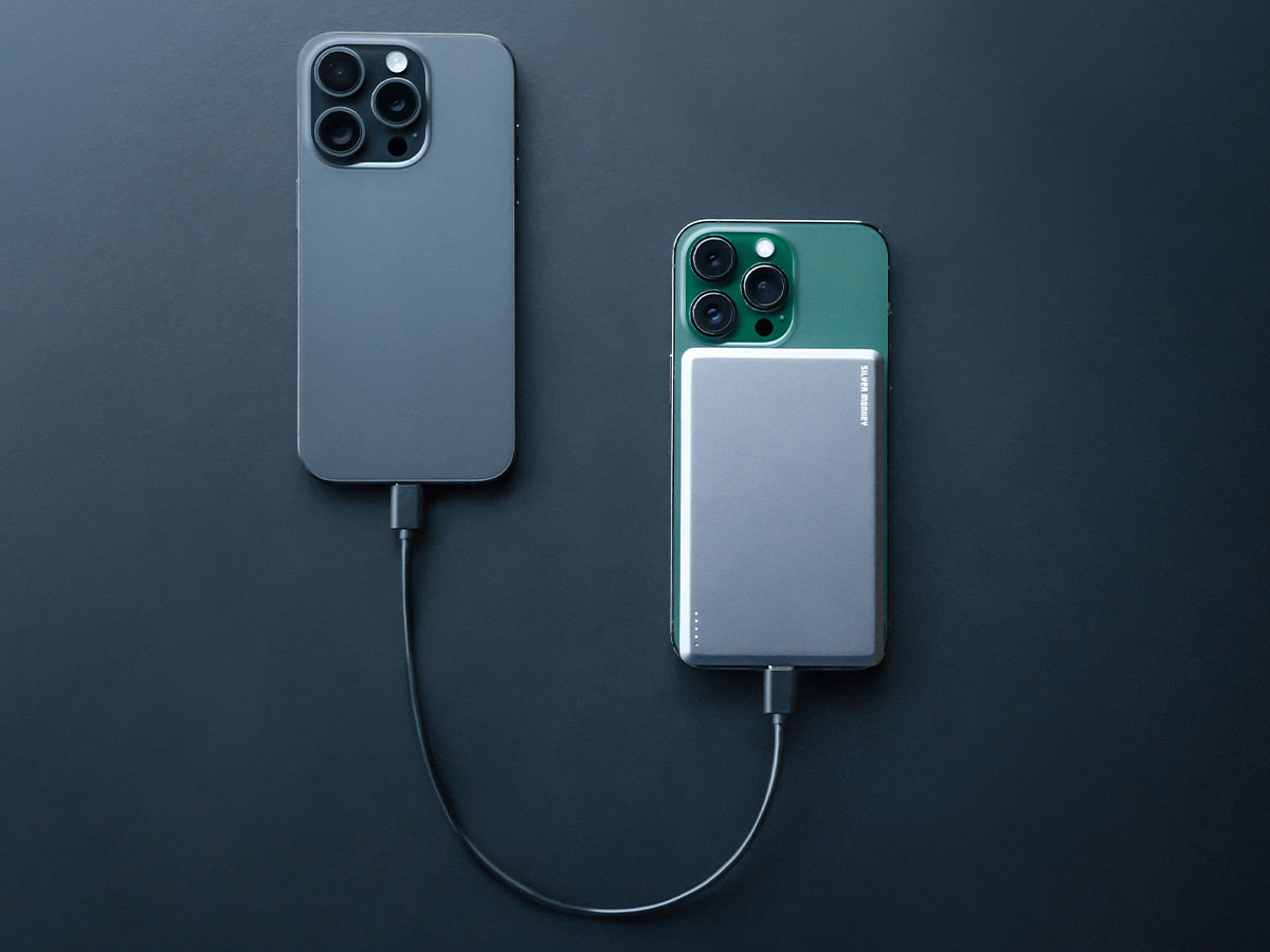 Silver Monkey Ultra Slim Powerbank 5000 mAh Aufladen