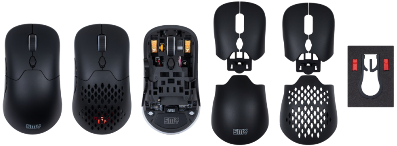 Silver Monkey X Vervet 