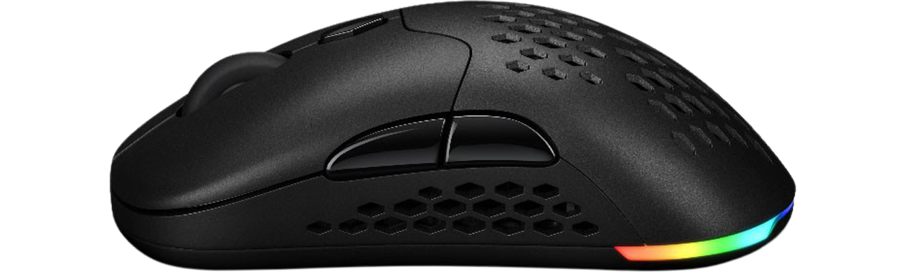 Silver Monkey X Vervet 