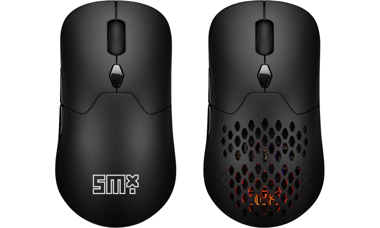 Silver Monkey X Vervet 