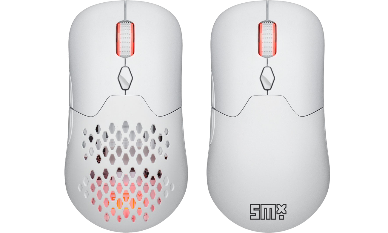 Silver Monkey X Vervet