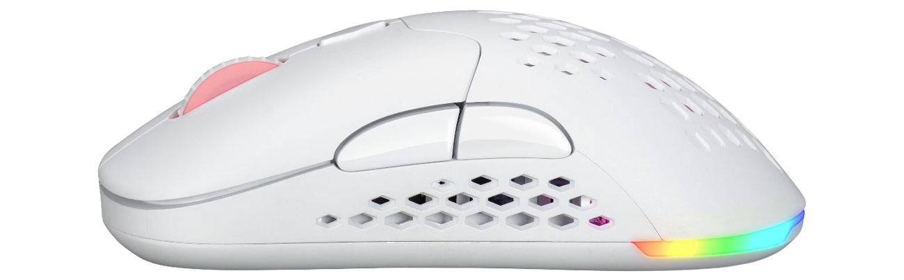 Silver Monkey X Vervet