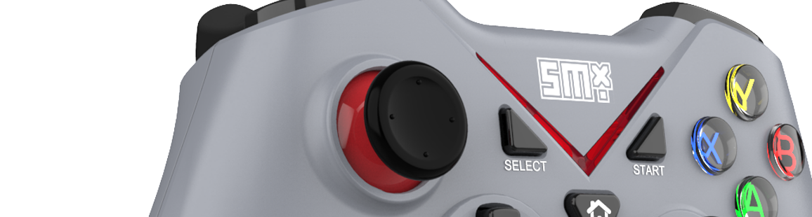 Drahtloser Silver Money X Tsukkomi-Controller - Lifestyle-Grafik