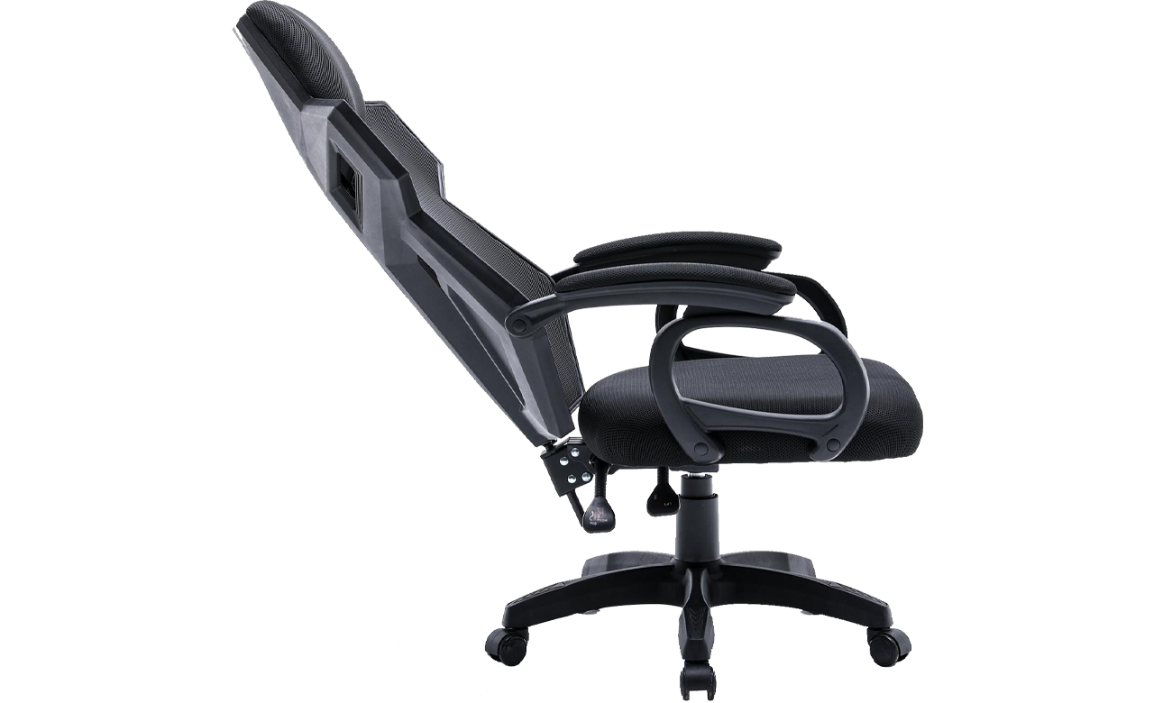 Silver Monkey X widok z góry