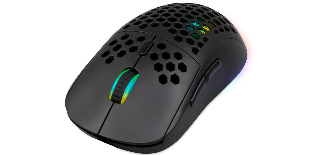 Silver Monkey X widok z gĂłry